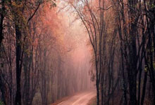 美总统特朗普称预计将于下周与乌总统泽连斯基会面.