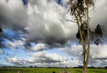 金年会：英超｜車路士作客兩球輕取李斯特城　安素首度單場同時傳射建功.