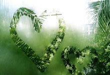 金年会：“北大仓”粮食产量连续15年全国居首 首次突破1600亿斤.